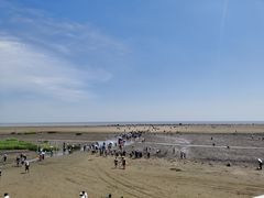 -启东黄金海滩景区