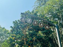 -中国科学院西双版纳热带植物园