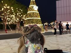 -深圳湾万象城(南山店)