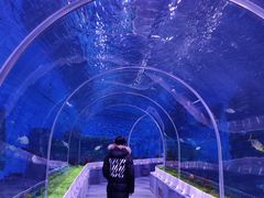 -石家庄极地海洋世界