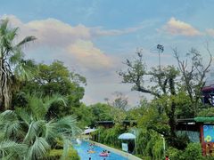 -上海玛雅海滩水公园