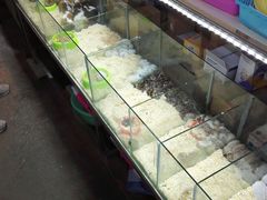-万商花鸟市场