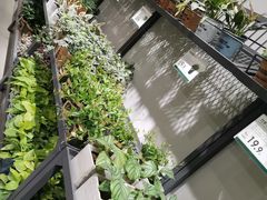 -鹿岛会员店 (龙湖三千集天街店)