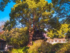 -惠山古镇·寄畅园