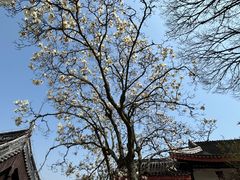 -穹窿山景区