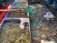 -新金盛·海鲜酒楼(盐田店)
