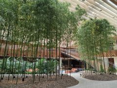 -北京望京凯悦酒店The Lounge大堂酒廊