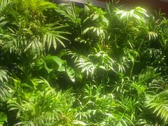 -巴奴毛肚火锅(广益哥伦布店)