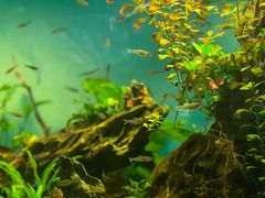 -太平洋海底世界