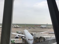 -上海浦东国际机场-T2航站楼