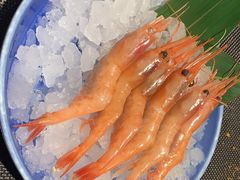 北极甜虾刺身-德川家日本料理(中关村寰太大厦店)