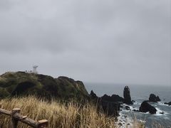 -涉地可支