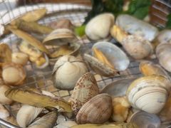 -海味当家·蒸锅海鲜(星海公园店)