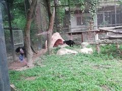 -清迈夜间动物园