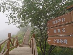 -大岭沟猕猴桃谷风景区