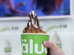 -Salud撒露欧洲冻酸奶(北苑上品店)