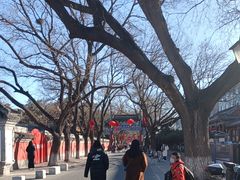 -北京国子监胡同