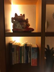 -广州萨谛艾扬格瑜伽中心