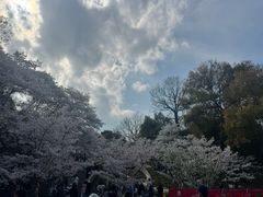 -杭州少年儿童公园