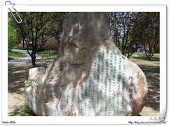 -紫竹院公园冰场