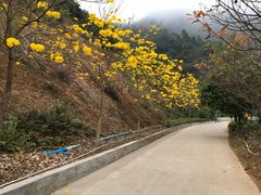 -田心森林公园