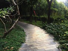 -燕晗山郊野公园