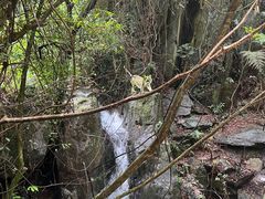 -南丹山森林王国