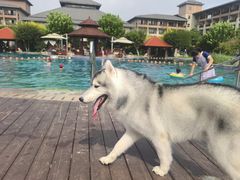 -秦皇岛阿尔卡迪亚滨海度假酒店