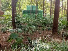 -苏州河梦清园环保主题公园