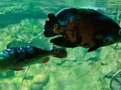 -常州海昌海洋探索馆