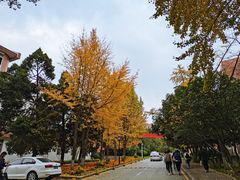 -南京特殊教育师范学院(燕子矶校区)