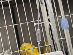 -美联众合动物医院·24h京西诊疗中心