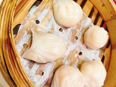 -北园酒家(小北路店)