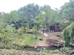 -和县香泉温泉度假村