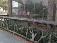 android_upload_pic-南昌动物园