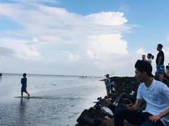 -南汇嘴观海公园