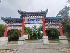 -云岗森林公园