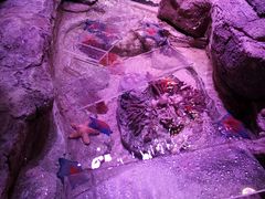 -沈阳海洋探索中心