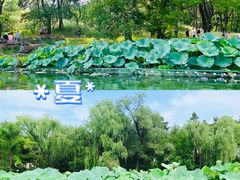 -承德避暑山庄景区