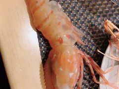 -菊上料理(蜀山银泰百货店)