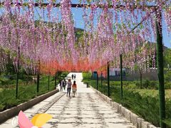 -黄金寨原生态旅游区