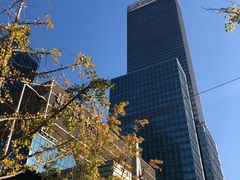 -上海璞麗酒店