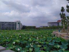 -南京医科大学(江宁校区)
