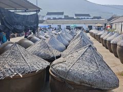 -苏州市吴中区光福窑上花果蜜饯厂