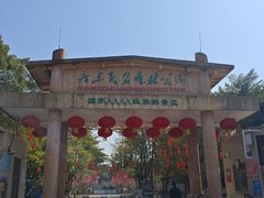 -广东茂名森林公园