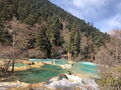 -黄龙山原始森林景区