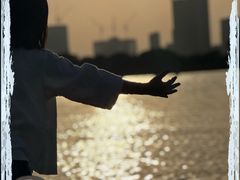 -台场海滨公园船码头