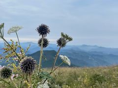 -白草畔自然风景区