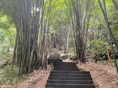 -凤栖山