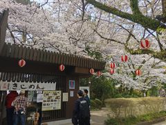 -名古屋城
